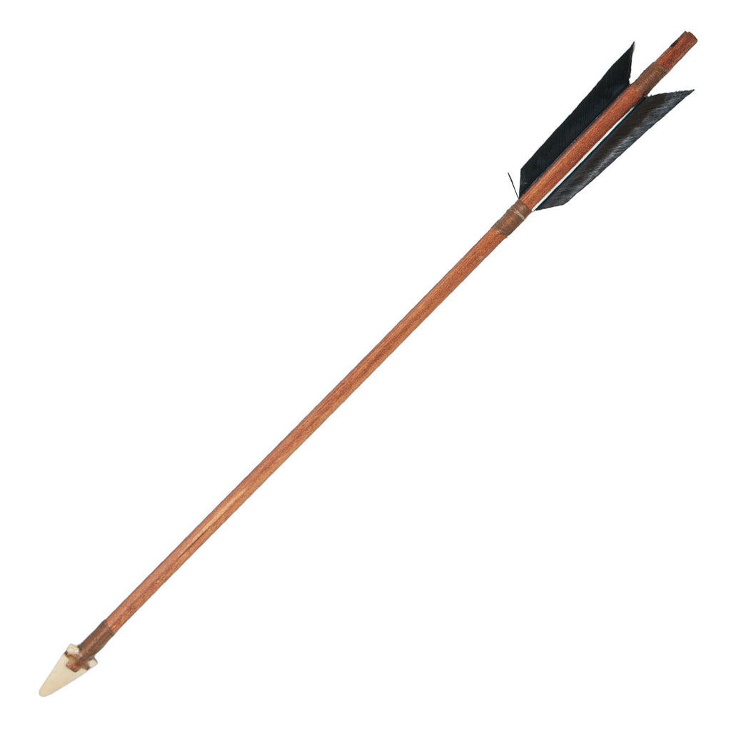Hawk Arrow