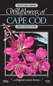 fire flower seeds Fireflower Seeds – Plimoth Patuxet Museum Shop