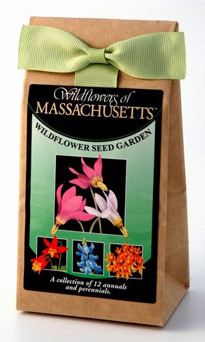 wildflower seeds massachusetts Massachusetts Seed Garden