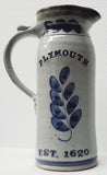 Pitcher Plymouth