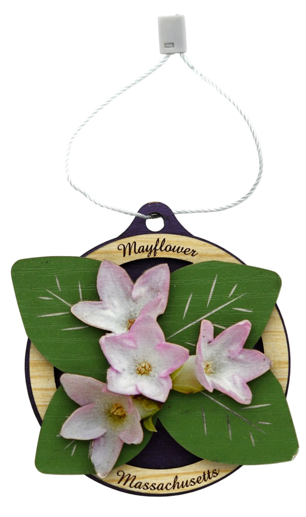 Massachusetts State Flower Ornament