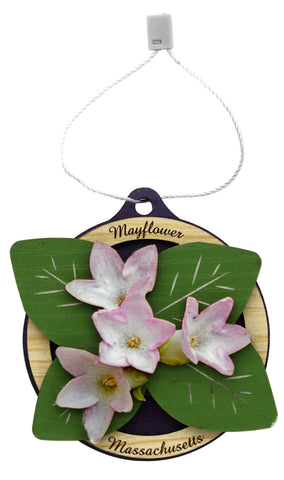 Massachusetts State Flower Ornament