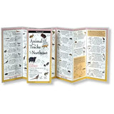 Animal Tracks of the Northeast: A Folding Pocket Guide to Identification
