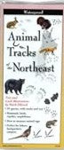 Animal Tracks of the Northeast: A Folding Pocket Guide to Identification