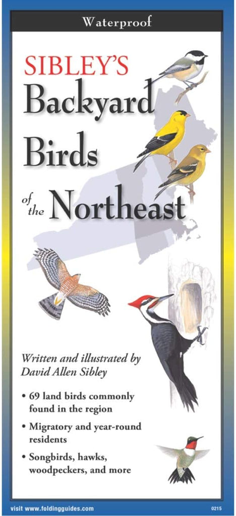 Backyard Birds of the Northeast: A Folding Pocket Guide to Identification