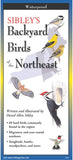Backyard Birds of the Northeast: A Folding Pocket Guide to Identification