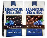 Chocolate Covered Blueberries