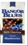 Chocolate Covered Blueberries