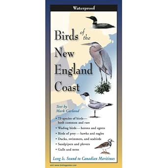 Birds of the New England Coast: A Folding Pocket Guide to Identification