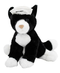 Mayflower Kitten