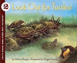 Look Out for Turtles
