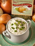 Farmhouse Five Onion Dip Mix