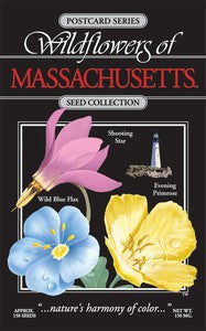 Massachusetts Bouquet Seeds