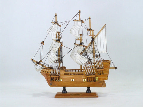 Mayflower Model