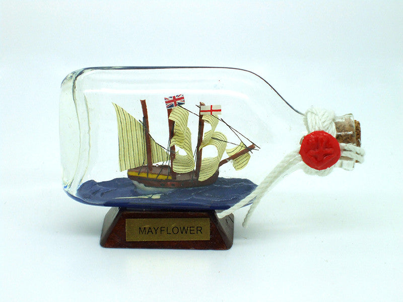 Mayflower In Bottle