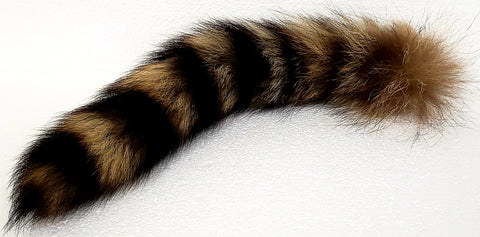 Raccoon Tail