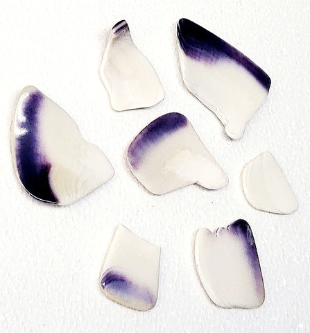 Wampum