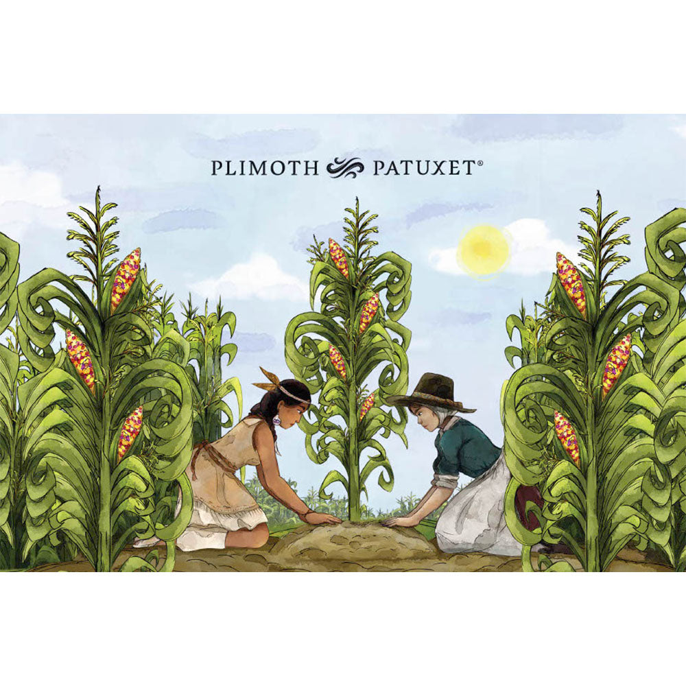 Plimoth Patuxet Illustrated Postcards